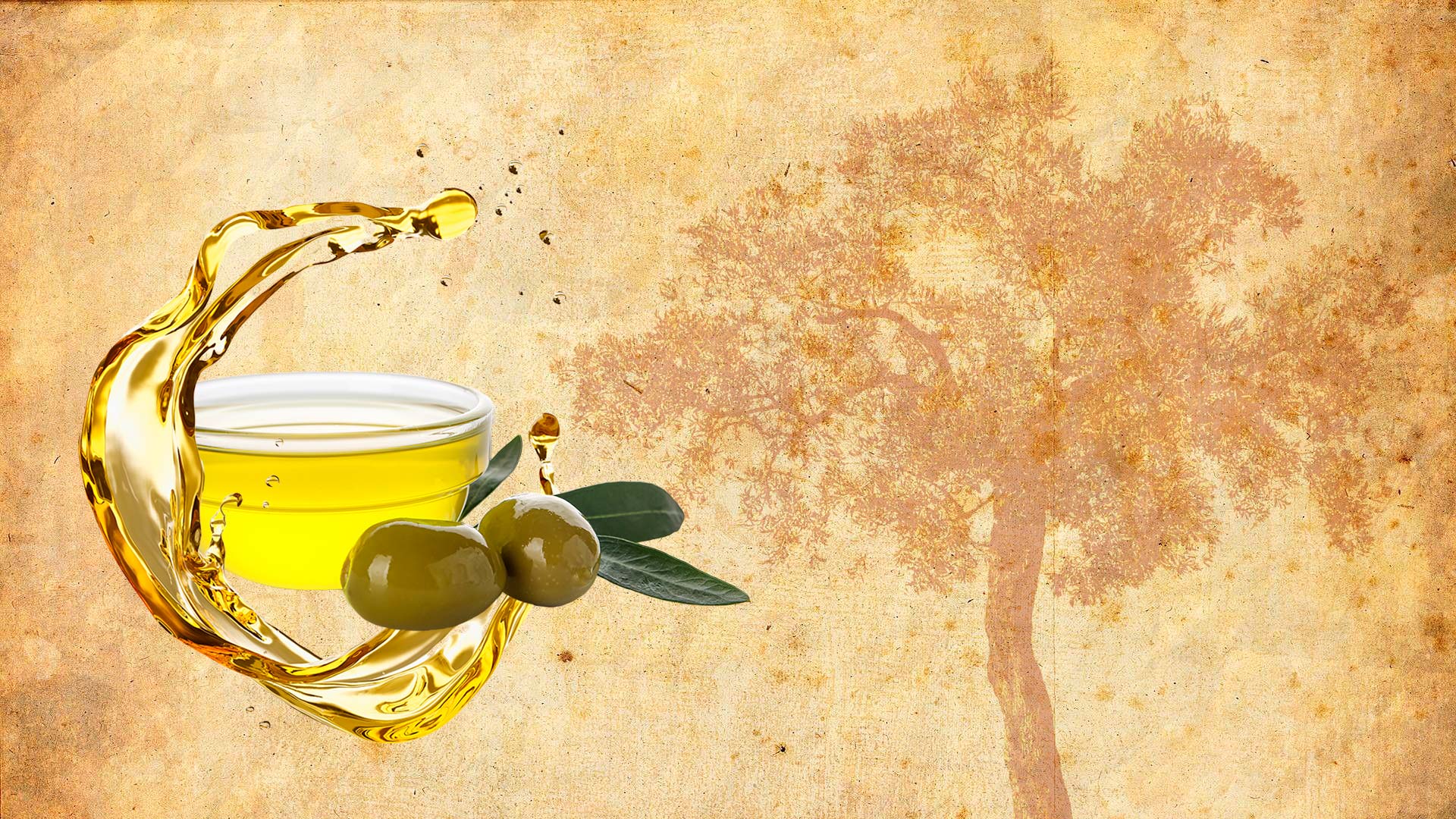 Olive Oil Monastery Terra Creta 500ml - Ionian Heritage
